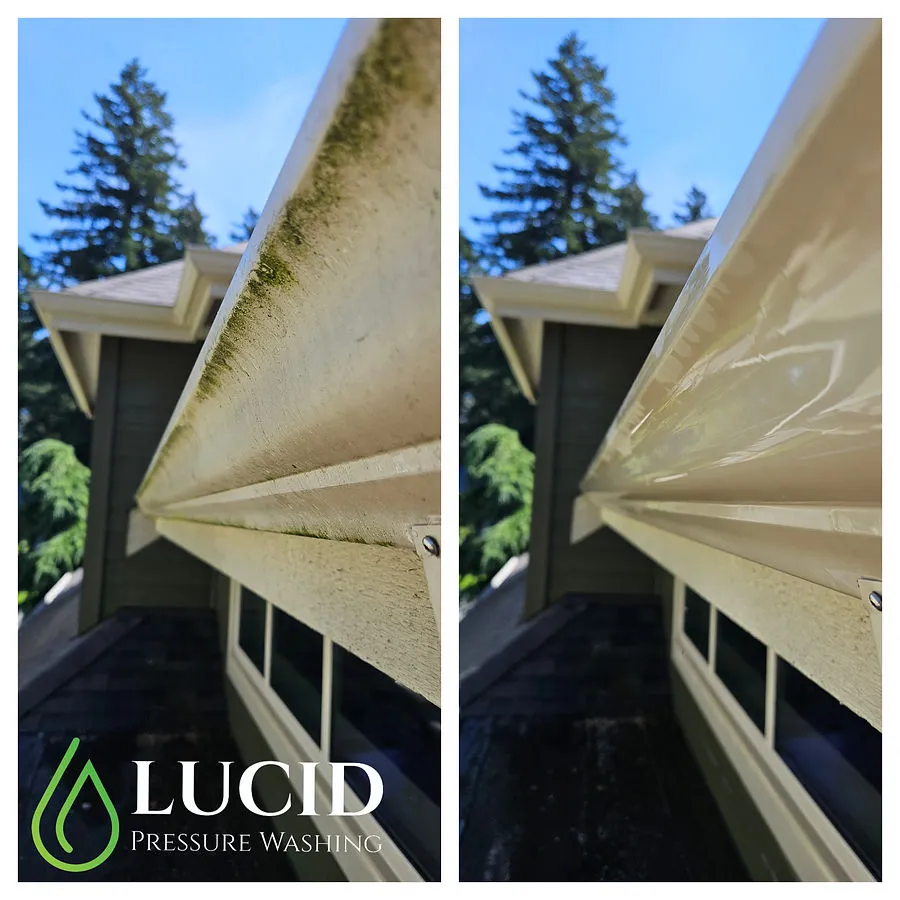 House washing project in Chilliwack, BC