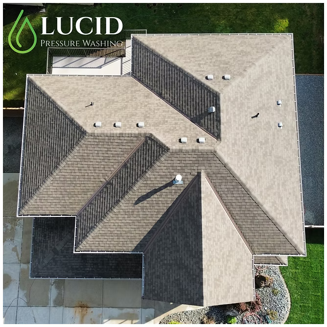 Roof cleaning and moss removal in Chilliwack, BC — Lucid Pressure Washing