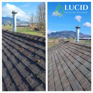 Roof Cleaning Chilliwack