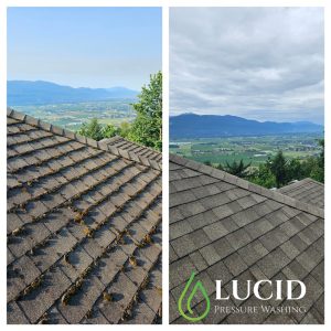 RoofCleaning